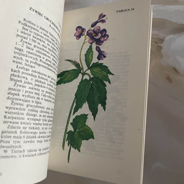 Rośliny tatrzańskie - Zofia Radwańska-Paryska