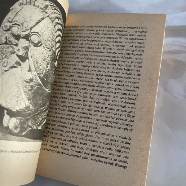 Mitologia Celtów - Jerzy Gąssowski