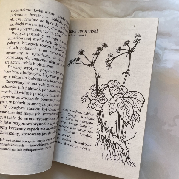 Uroda ziół. Haft krzyżykowy - Zofia Drzewiczewska