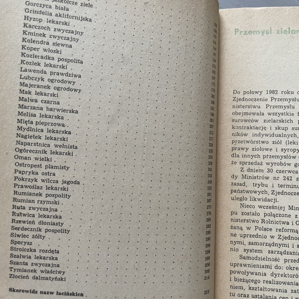 Poradnik plantatora ziół - Antonina Rumińska