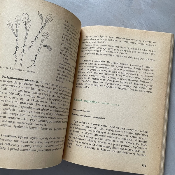 Poradnik plantatora ziół - Antonina Rumińska