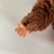 Miś Russ Tubby przyjaciel Monchhichi - maskotka
