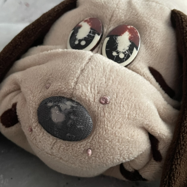 Pies Wauzi - Pound Puppies - piesek - maskotka pluszak vintage