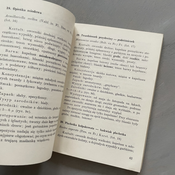 Przewodnik grzyboznawczy - Maria Lisiewska, Marian Szmid