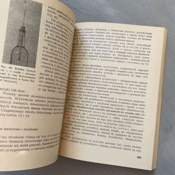 Produkty pszczele i przetwory miodowe - Mieczysław Wojtacki