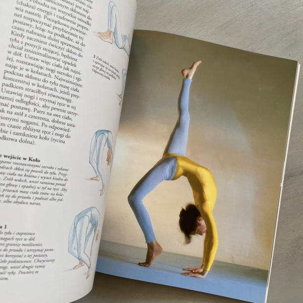 Joga. Przewodnik dla początkujących i znawców - Lucy Lidell