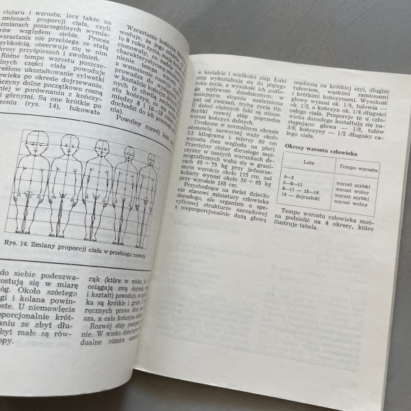 Anatomia stopy - Artur Dziak