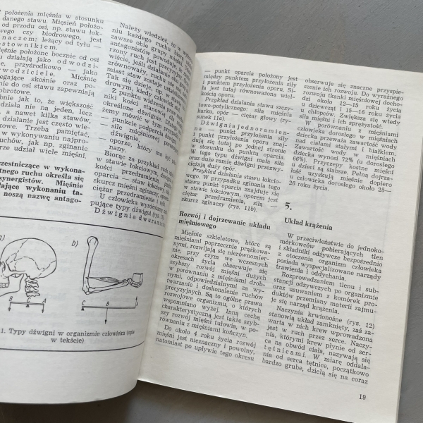 Anatomia stopy - Artur Dziak