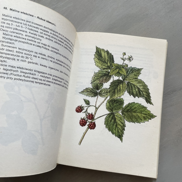 Atlas roślin leczniczych - Jan Macku