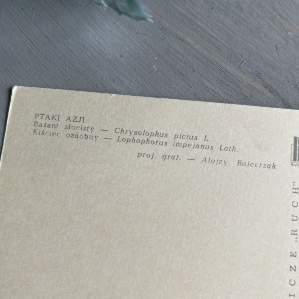 Ptaki Azji - Bażant złocisty - Kiściec ozdobny - pocztówka - Alojzy Balcerzak