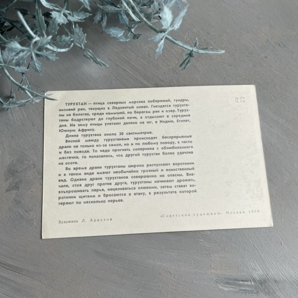 Ptaki - pocztówka rosyjska - 1968