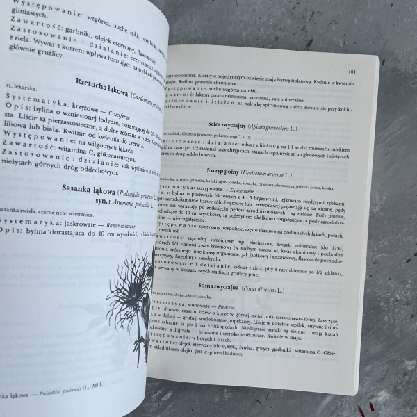 Przewodnik ziołolecznictwa ludowego - Eugeniusz Kuźniewski