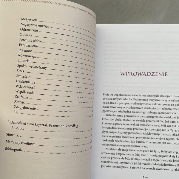 Leksykon uzdrawiania kryształami - Karen Frazier