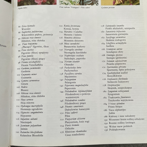 Pielęgnowanie roślin pokojowych - David Longman