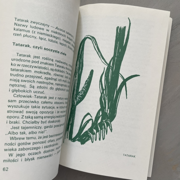 Astrologia i zioła. Recepty mądrych znachorek - Ilona Bergen, Manou Witko