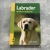Labrador - opieka i hodowla - Gerard Sasias