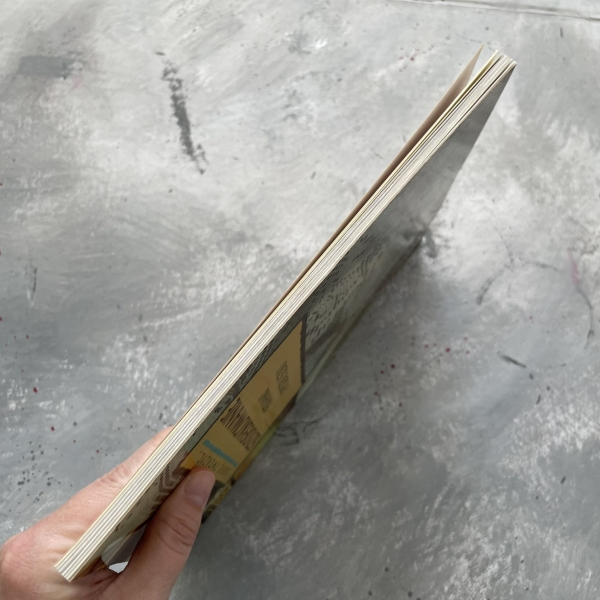 Szydełkowanie firanki i poduszki