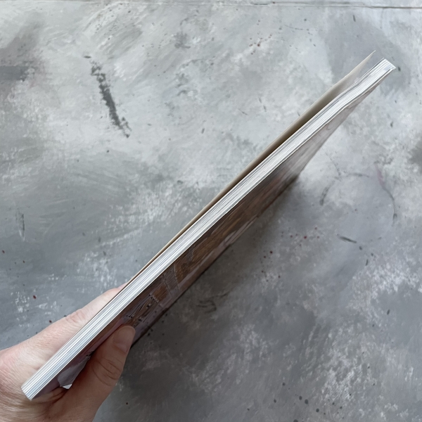 Lekcje rysowania i malowania - krajobrazy i widoki miast - Rob Alexander