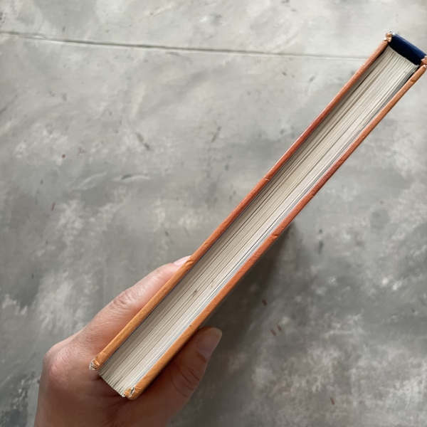 Umysł, ciało, dusza - Mark Evans