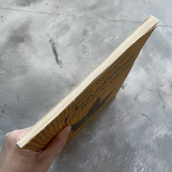 Dzianina na jesień życia - Irena Szymańska