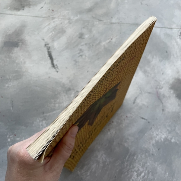 Dzianina na jesień życia - Irena Szymańska