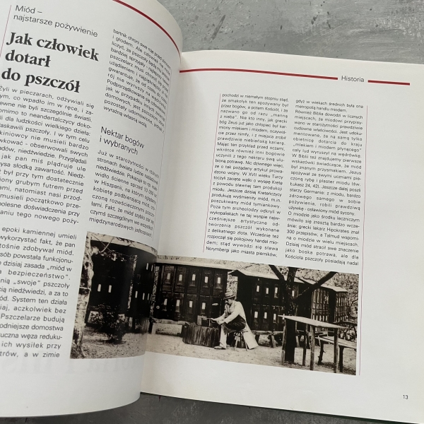 Miód w kuchni - Angelika Ehrnsperger