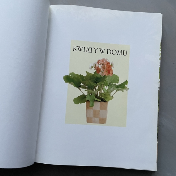 Kwiaty w domu. Jak dobierać i pielęgnować rośliny doniczkowe - Jane Courtier