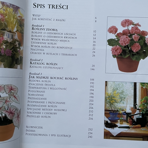 Kwiaty w domu. Jak dobierać i pielęgnować rośliny doniczkowe - Jane Courtier