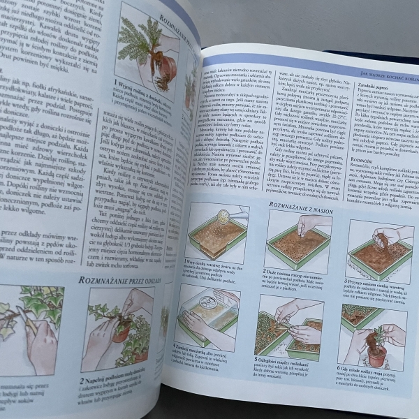 Kwiaty w domu. Jak dobierać i pielęgnować rośliny doniczkowe - Jane Courtier