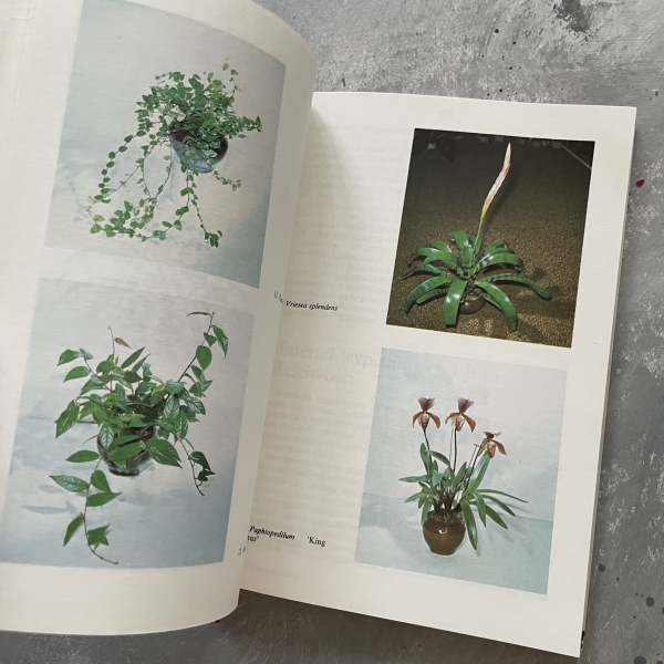 Hydroponika dla każdego - Jan Pribyl