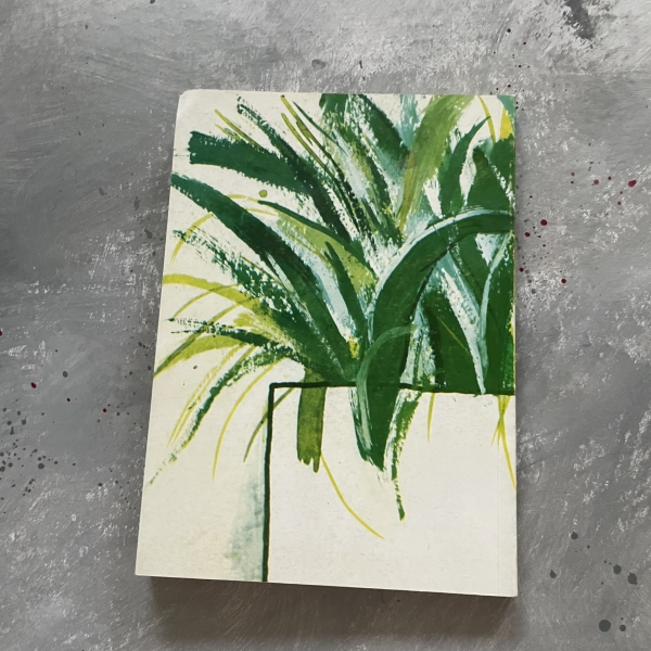 Hydroponika dla każdego - Jan Pribyl