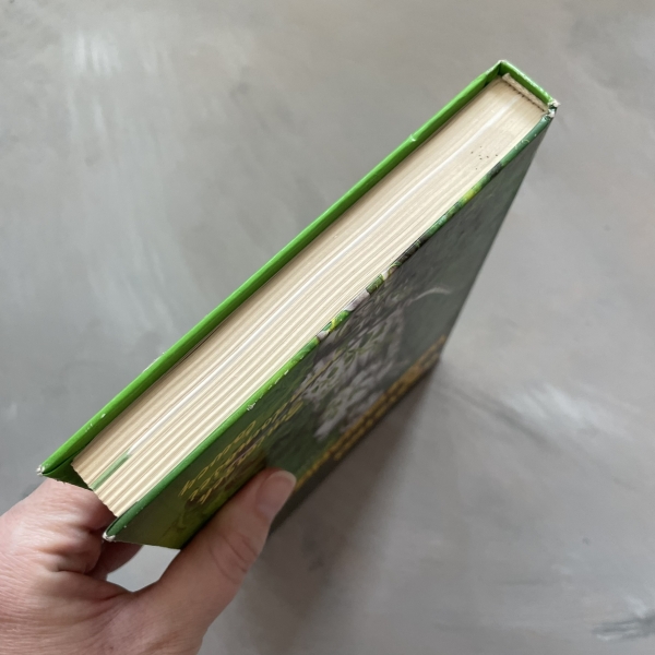 Wszystko o wegetarianizmie - Maria Grodecka